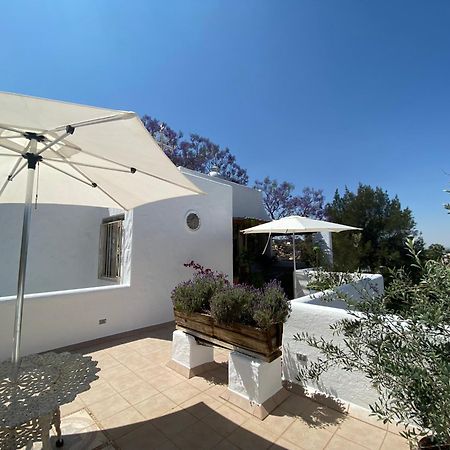 Casa Arbol Hotel Альенде Экстерьер фото