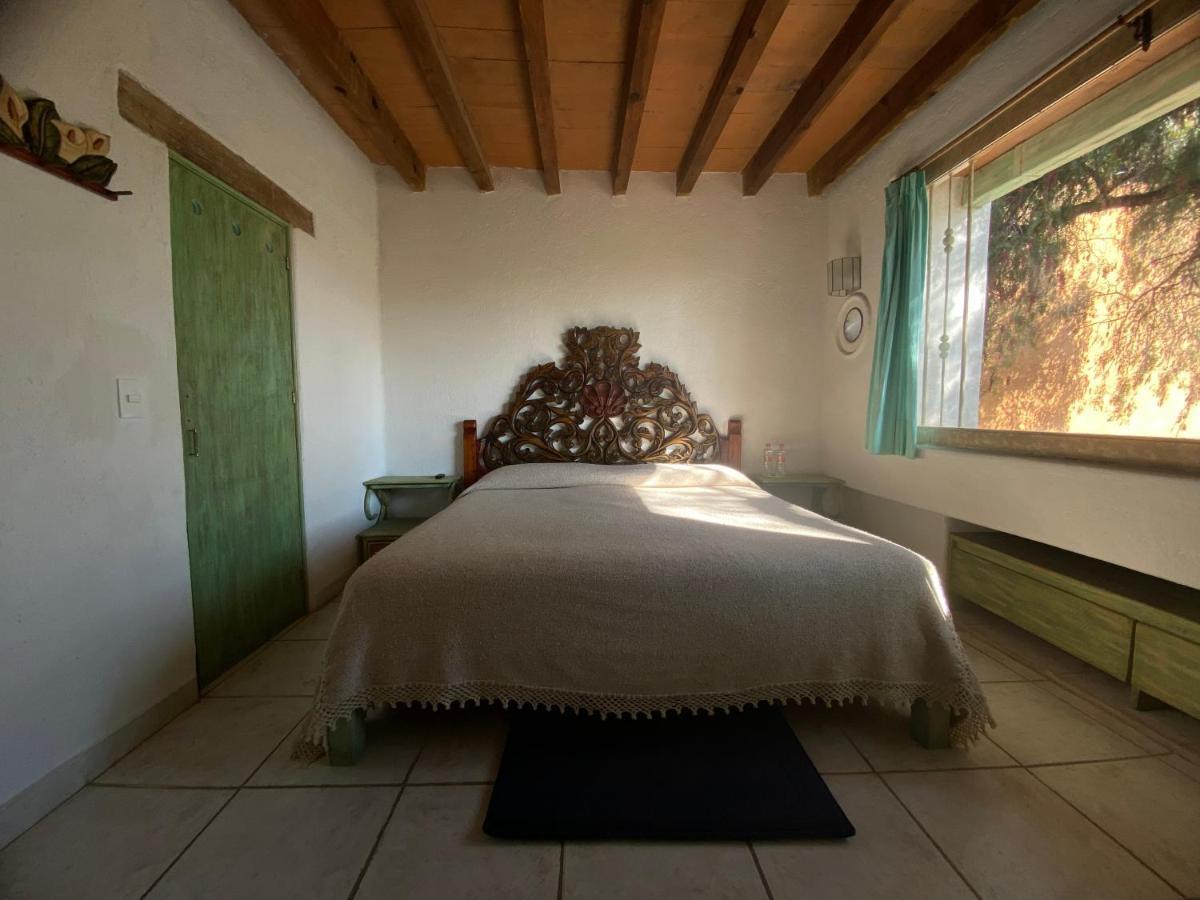 Casa Arbol Hotel Альенде Экстерьер фото