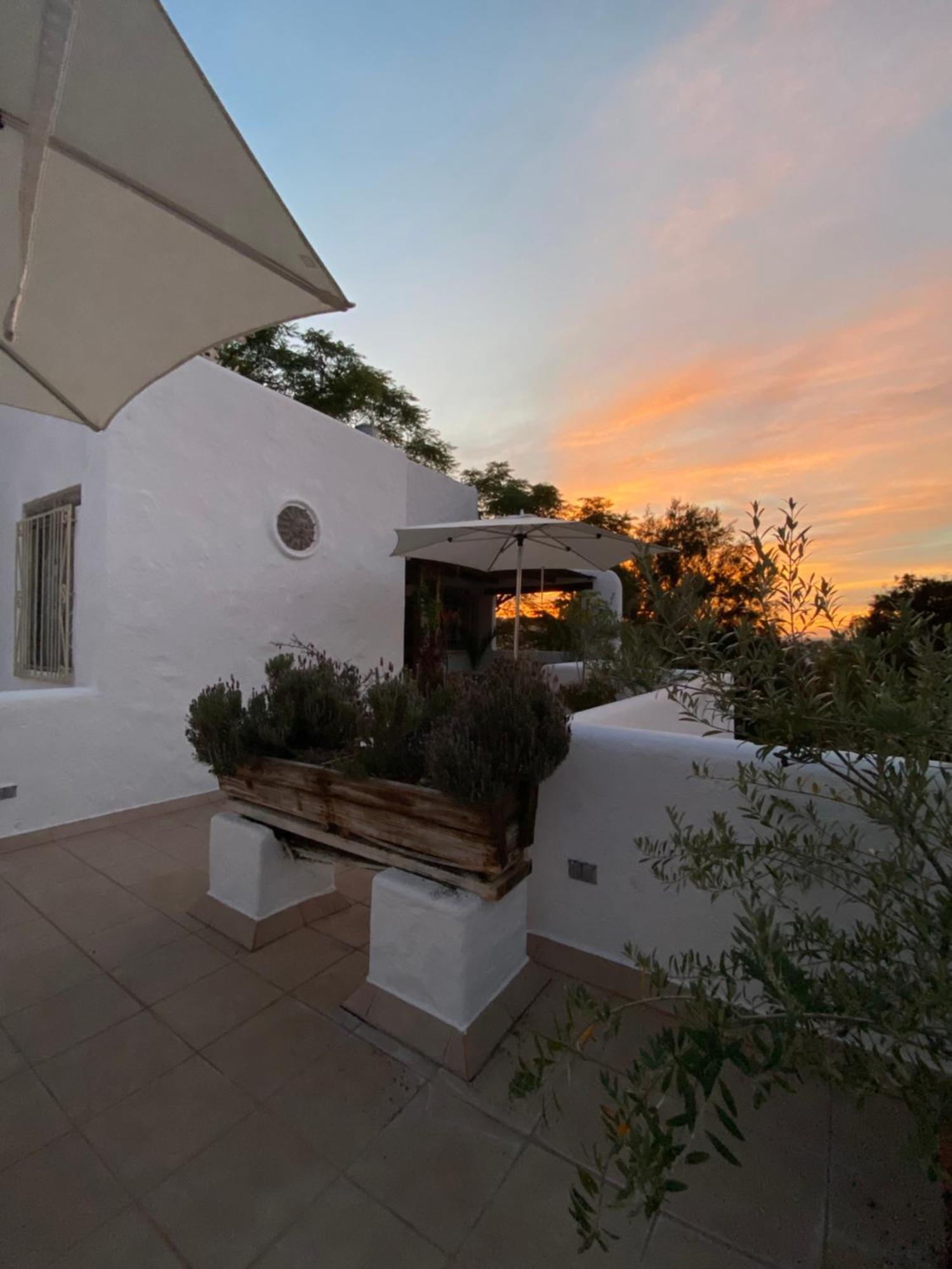 Casa Arbol Hotel Альенде Экстерьер фото